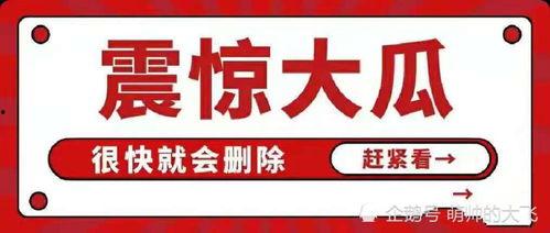 娱乐圈8卦吃瓜是谁说的,揭秘“吃瓜群众”背后的神秘发声者